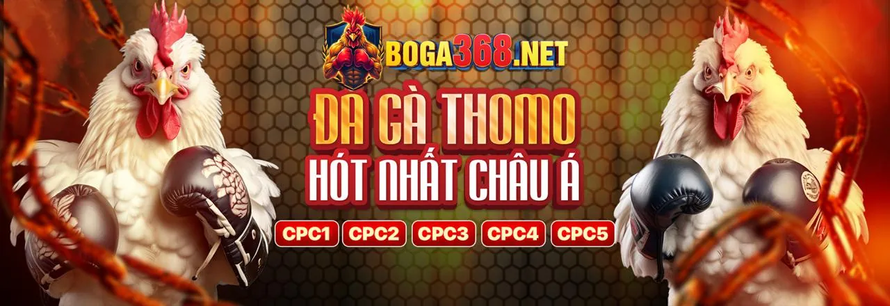 Đá Gà Trực Tuyến galaxy6623 App